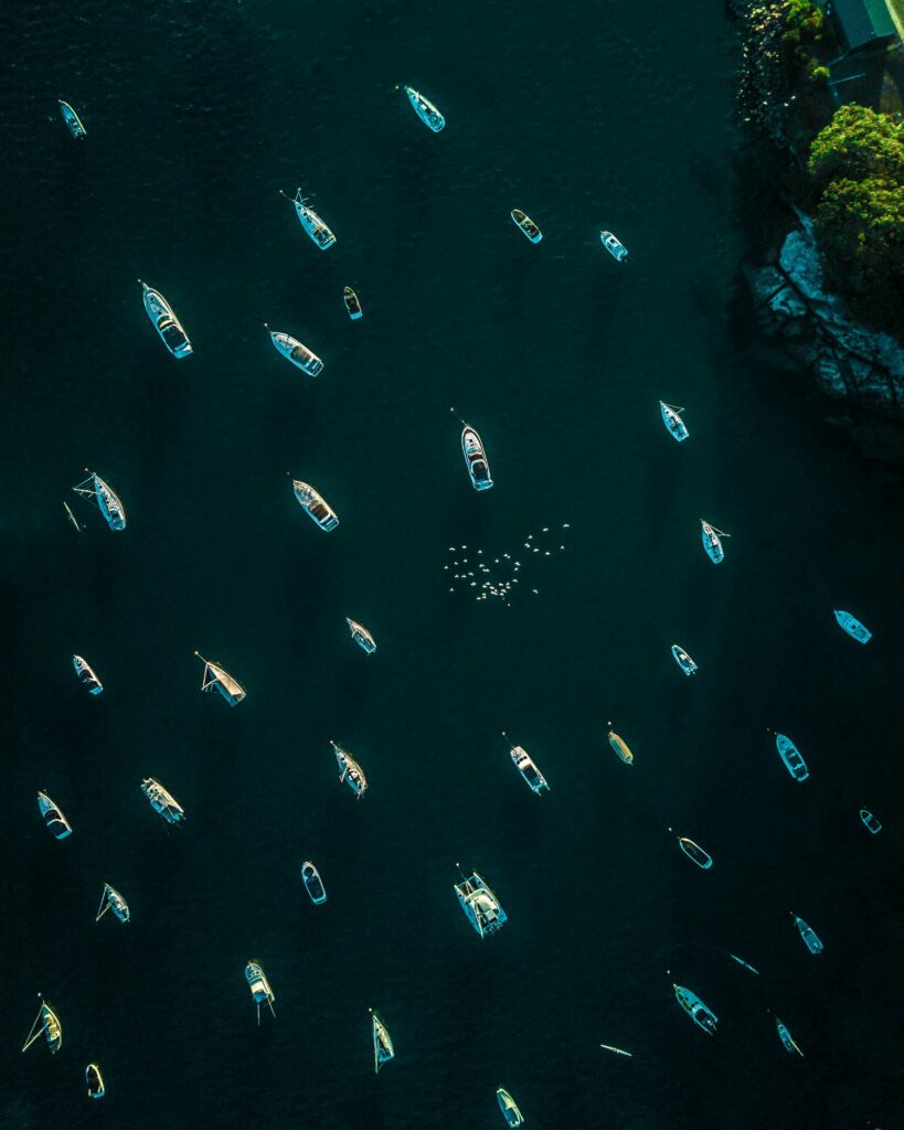 muchos barcos alquilados en Tenerife